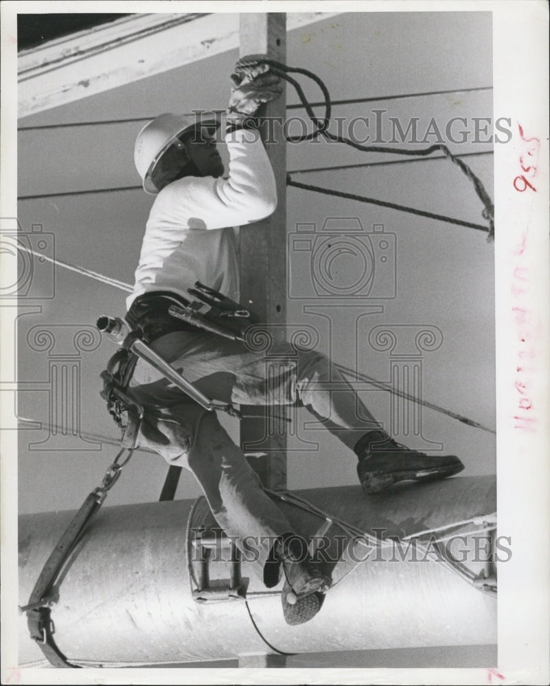 1963 of a Florida Power Company worker on a utility pole - Historic Images