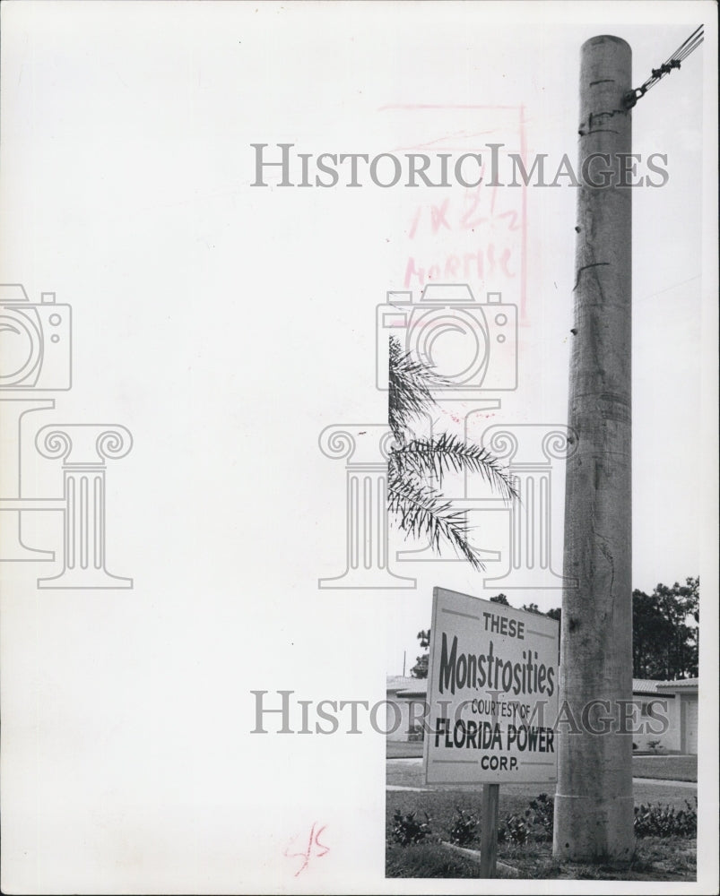 1963 Florida Power Corporation Pole - Historic Images