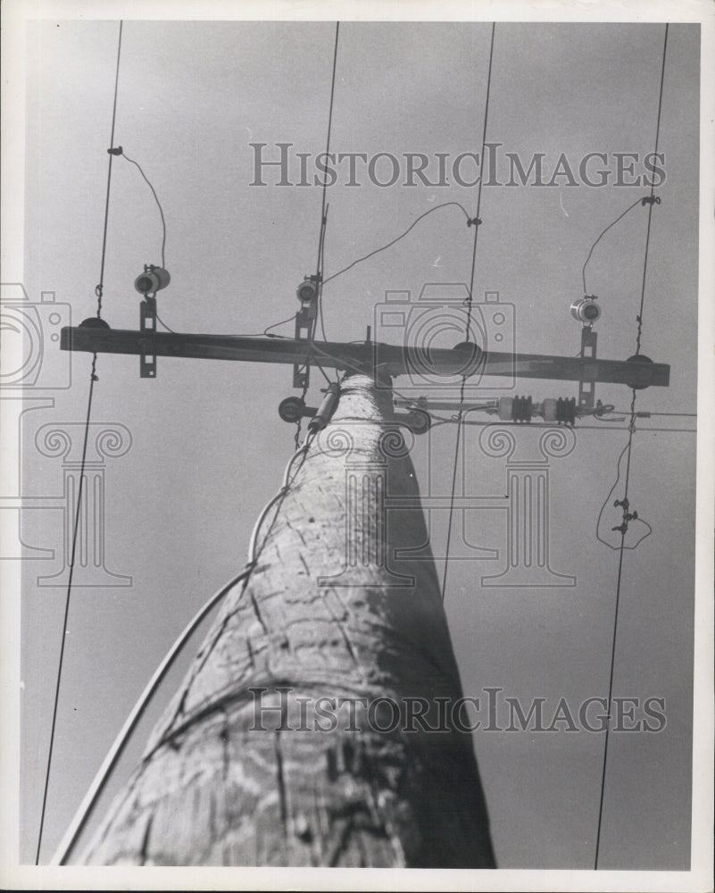 1967 Press Photo Florida Power Corporation Pole - Historic Images