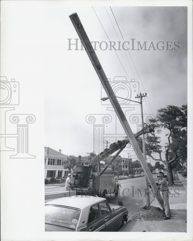1967 Florida Power Company poles - Historic Images