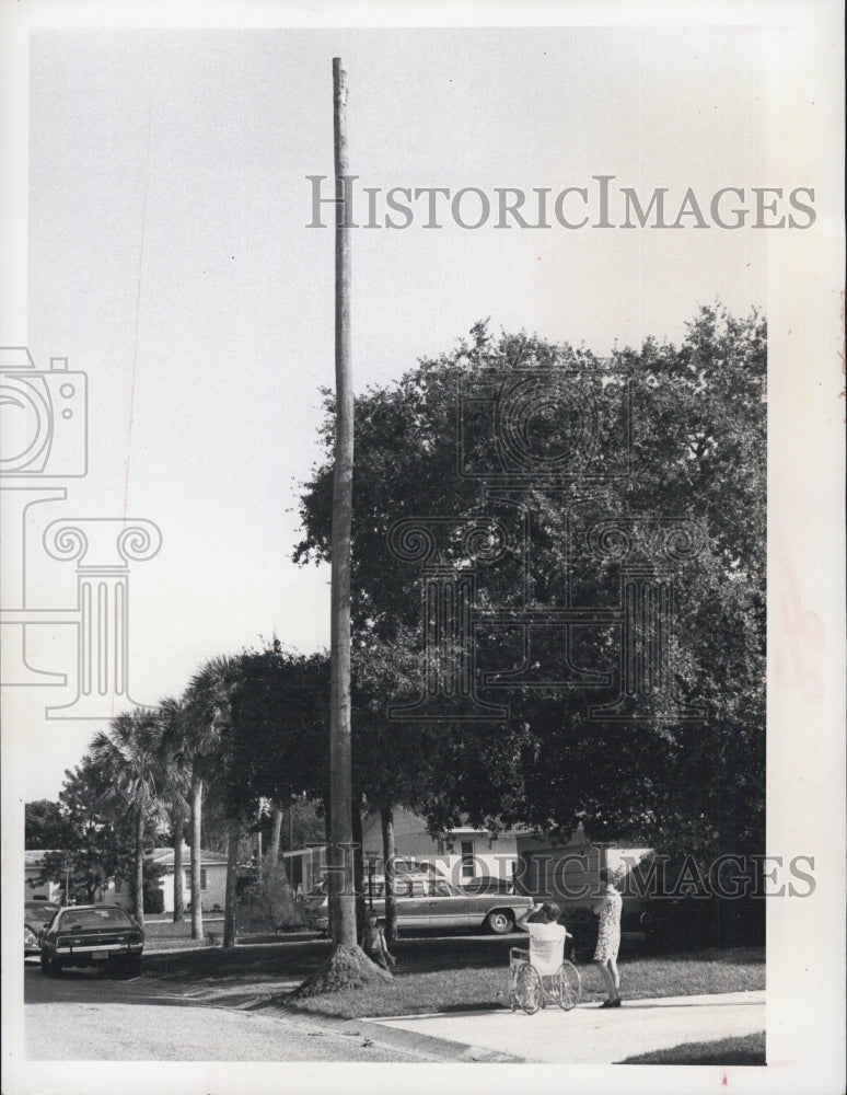 1972 Florida Power Corporation Pole - Historic Images