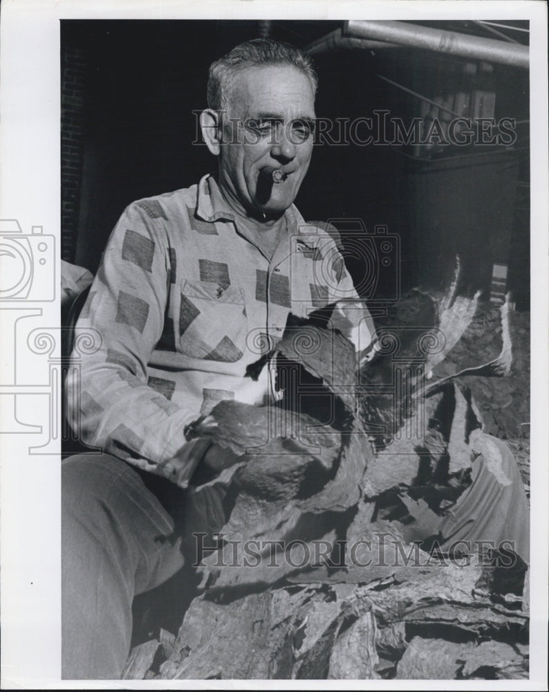 Press Photo cigar industry - Historic Images