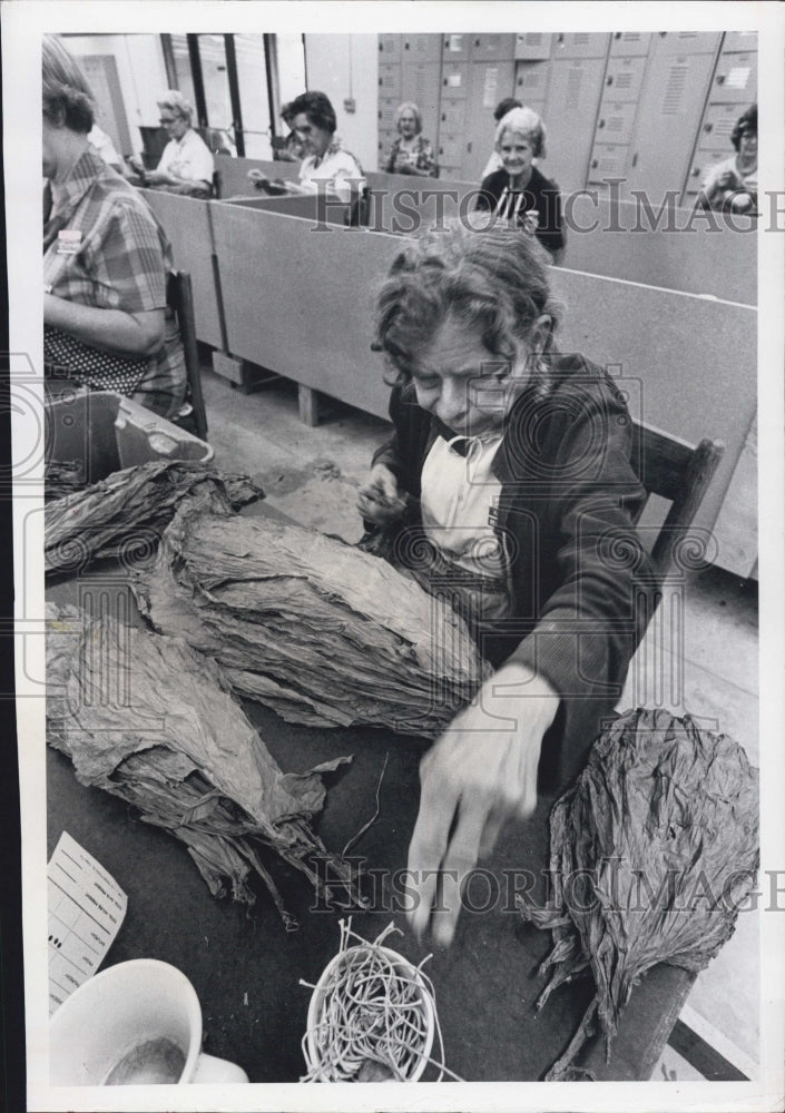 1972 Cigar Industry - Historic Images