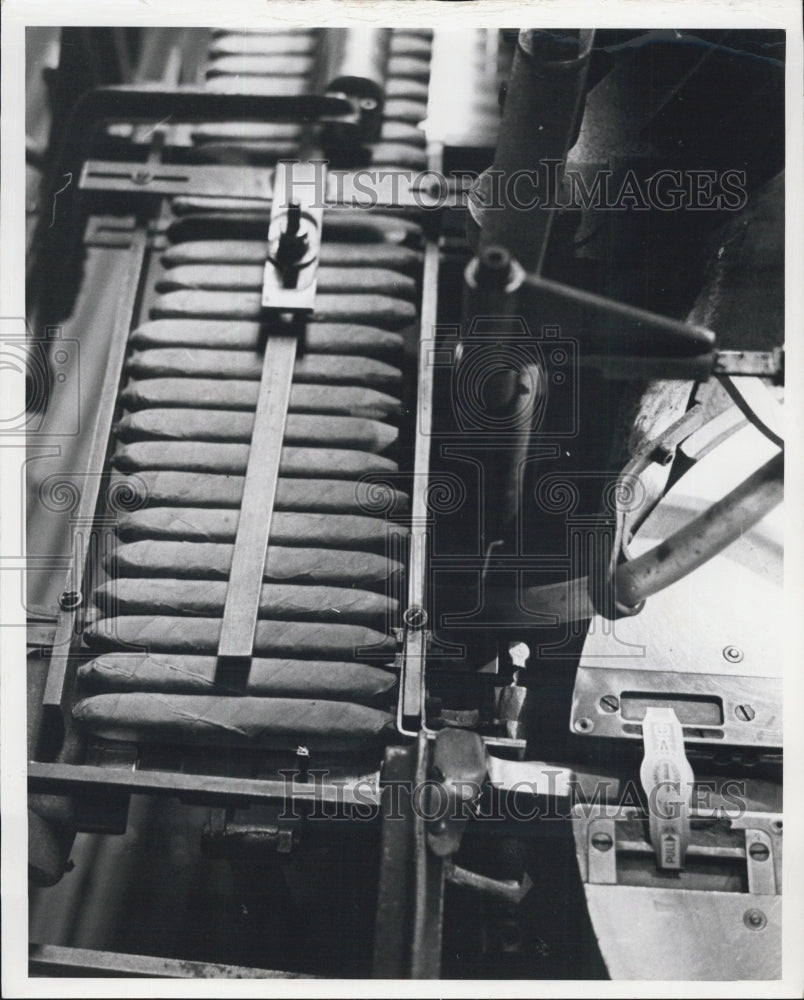 1963 Cigar Industry - Historic Images