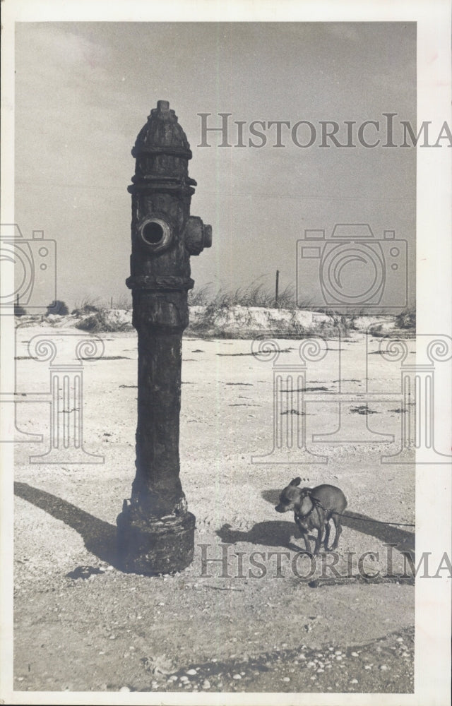 1963 Press Photo Fire Hydrant De Soto - Historic Images