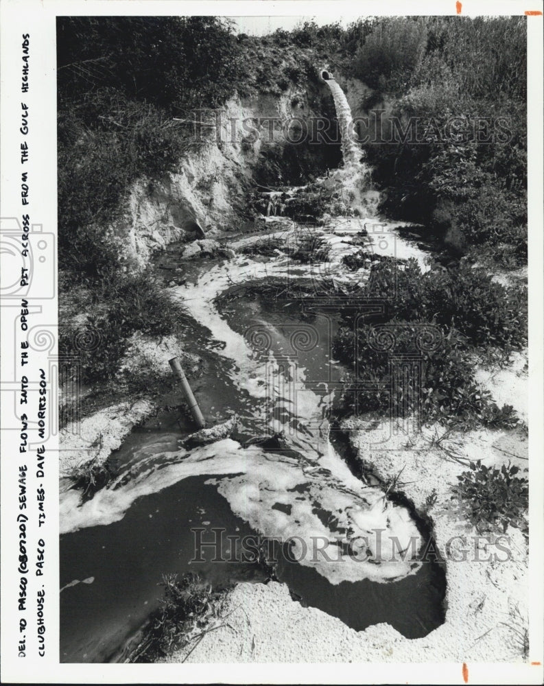 1982 Press Photo Water Pollution Florida - Historic Images