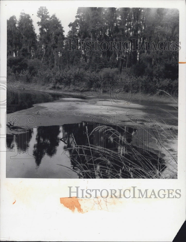 1973 Lake Camp - Historic Images