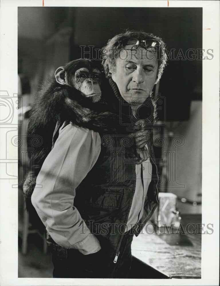 1973 Eli Wallach with apet chimps - Historic Images