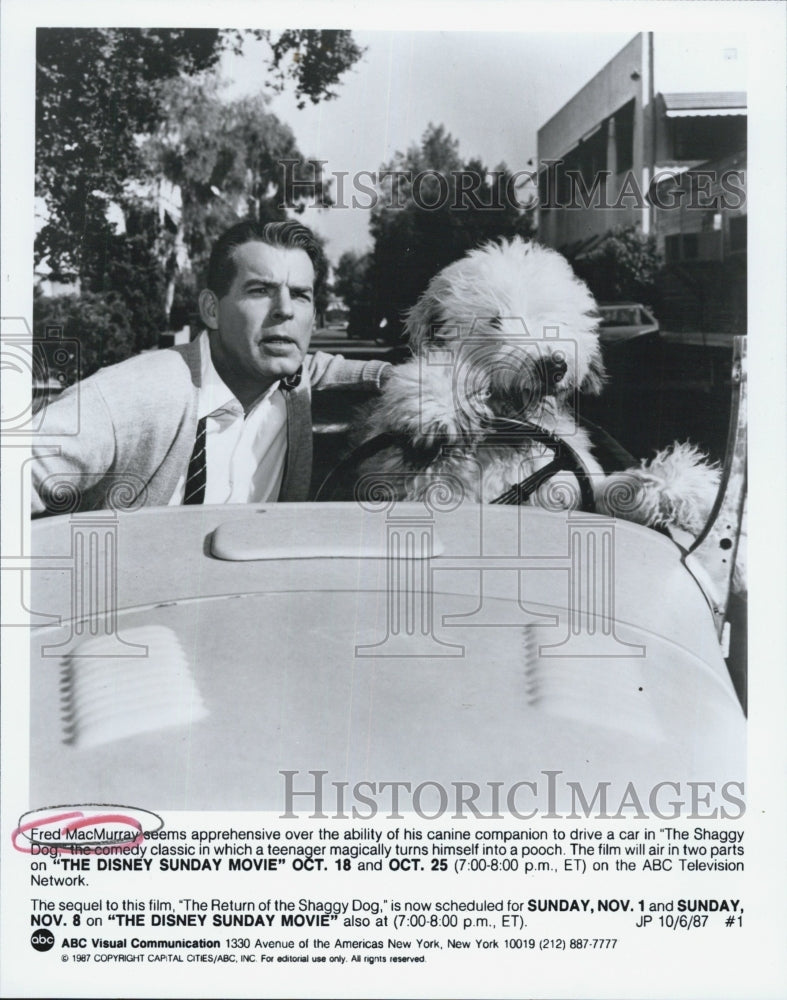 1987 Press Photo Actor Fred MacMurray with canine companion. - Historic Images