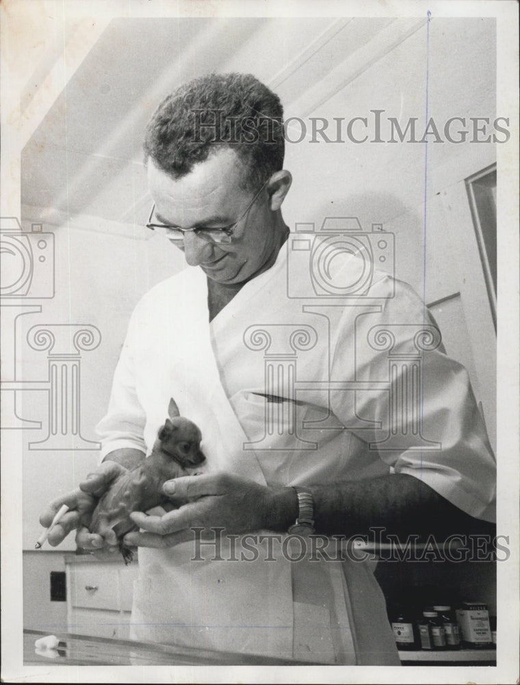 1959 Veterinarian James Madill - Historic Images