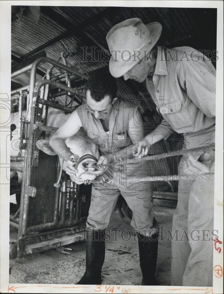 Press Photo Veterinarian James Madill - Historic Images