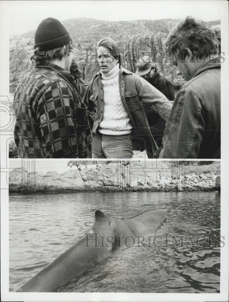 1981 Press Photo Peter Strauss - Historic Images