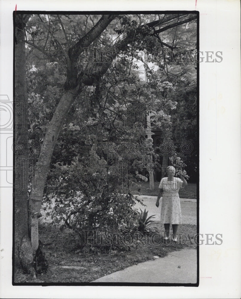 1974 Mrs. Hann in her garden checking the flowers. - Historic Images