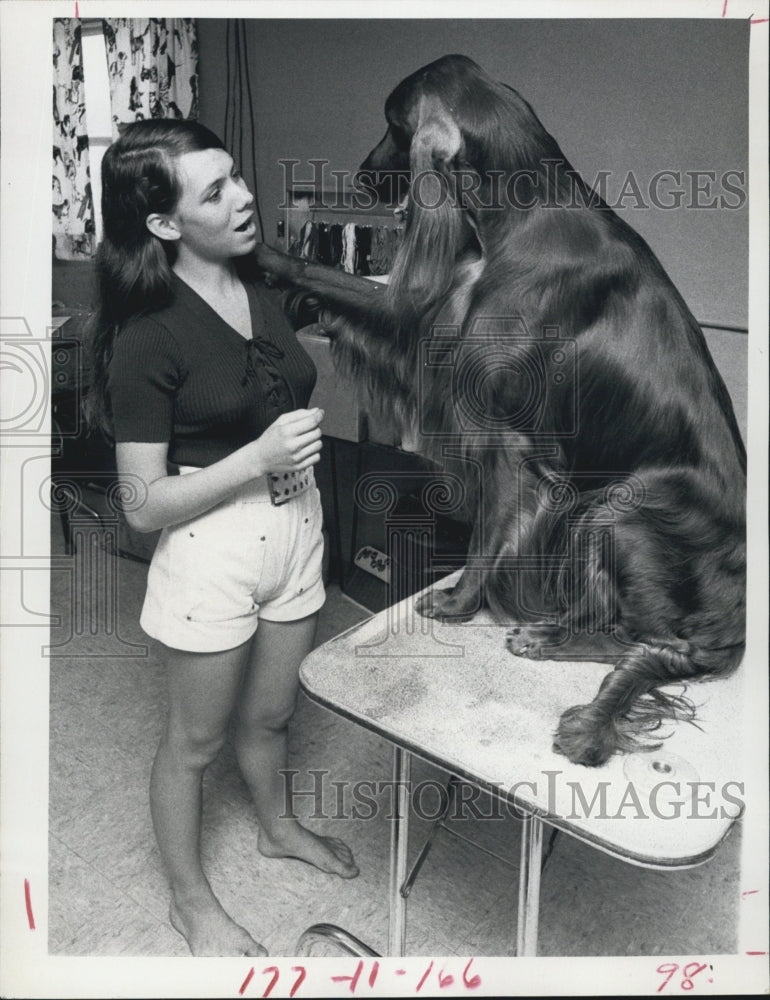 1972 Dog brushes girl hair.-Historic Images