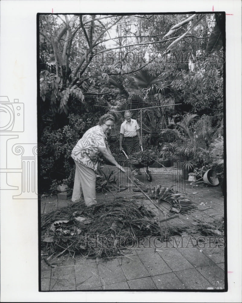 1974 Clean Up At Botanical Gardens After Storm - Historic Images