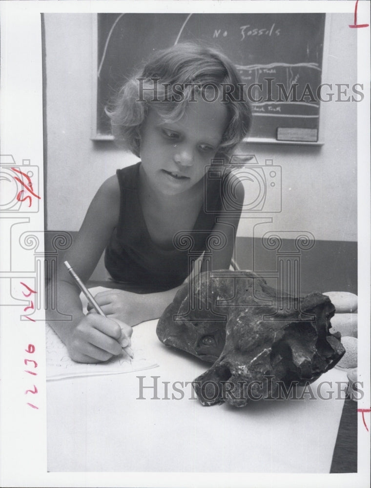 1971 Karen Porter examines a lion&#39;s skull. - Historic Images