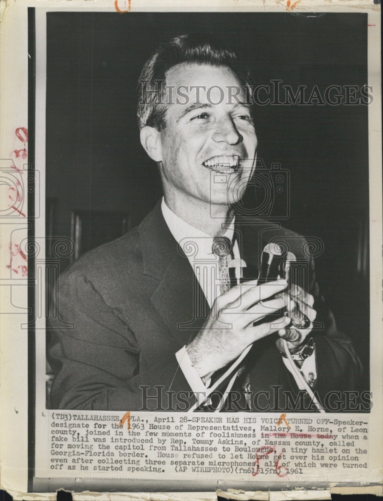 1928 House Of Representatives Speaker Mallory Horne - Historic Images