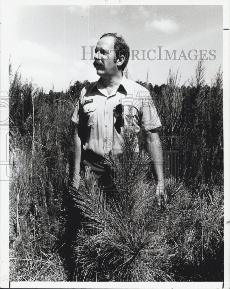 1987 Press Photo Mike Kettles/Florida Division Forestry/County Tree Farm - Historic Images