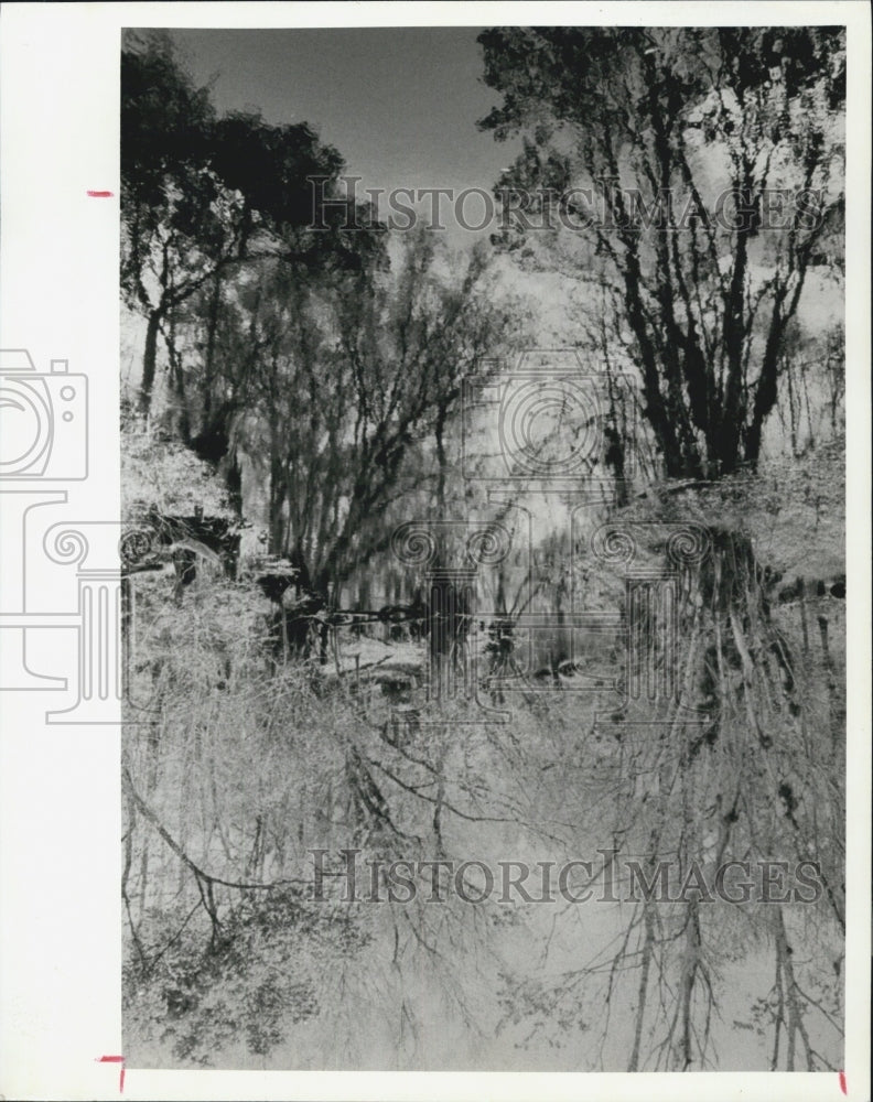 1991 Press Photo Withlacoochee River - Historic Images