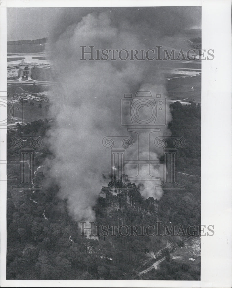 1987 Press Photo Wooded Area Desrtoyed in Blaze. - Historic Images