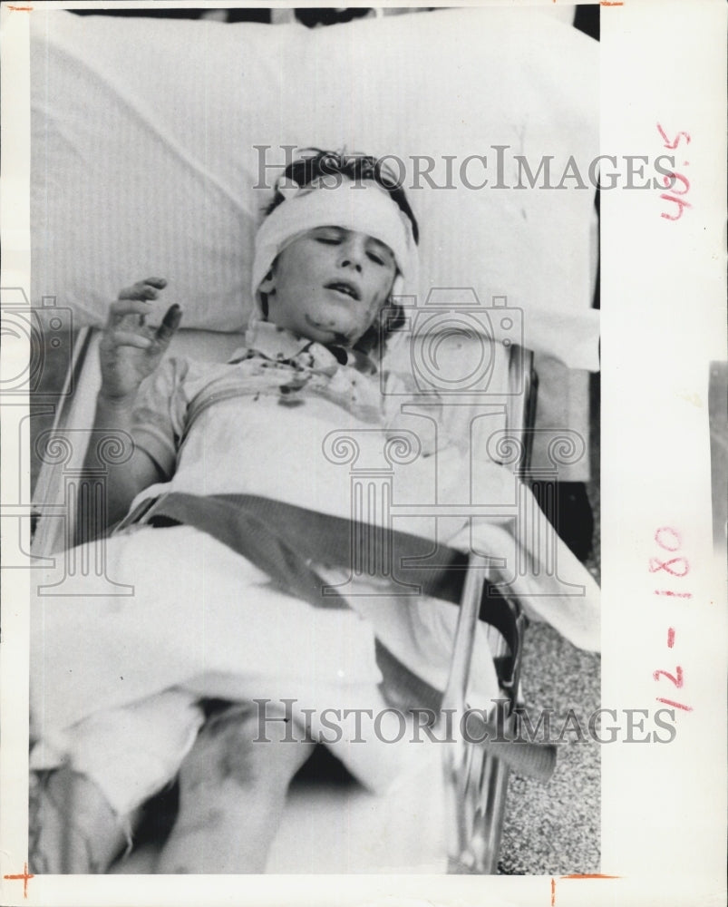 1972 Press Photo Boy attacked by Lions. - RSG69515 - Historic Images