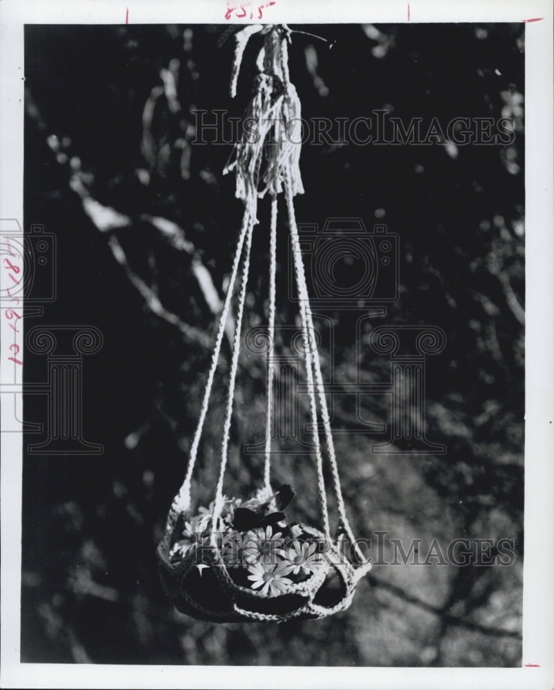 1972 Press Photo Plant Holder Made Out Of Ply Cotton With chicken And Butterfly - Historic Images