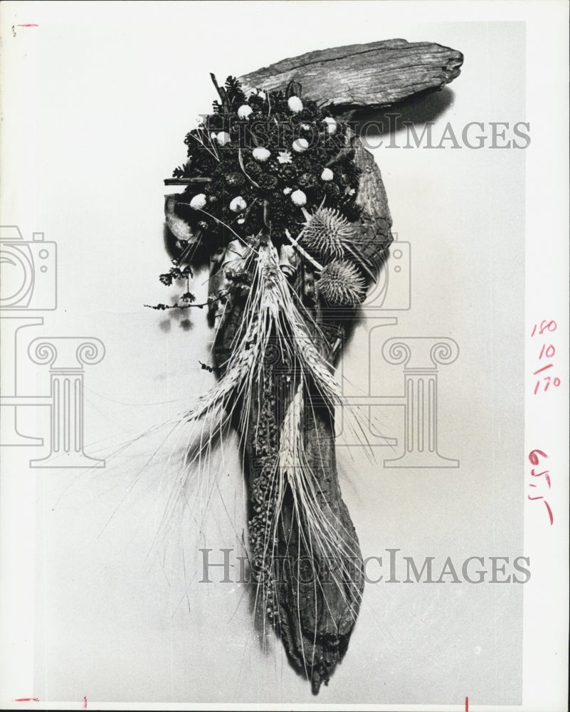 1971 Dried Pine Cones,weeds and Wild Flowers. - Historic Images