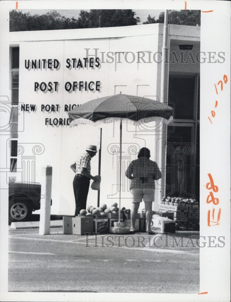 1974 Press Photo Fruits and Vegetables being sold from small stands - RSG69741 - Historic Images