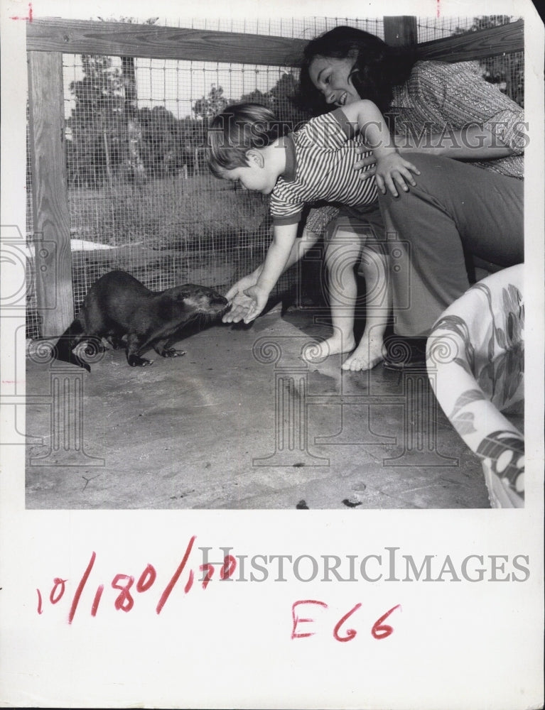 1971 Kid touching a sea lion. - Historic Images