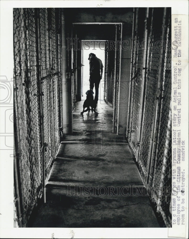 1989 Press Photo Citrus County Animal Control Remove 58 Dogs 32 Cats From Home - Historic Images