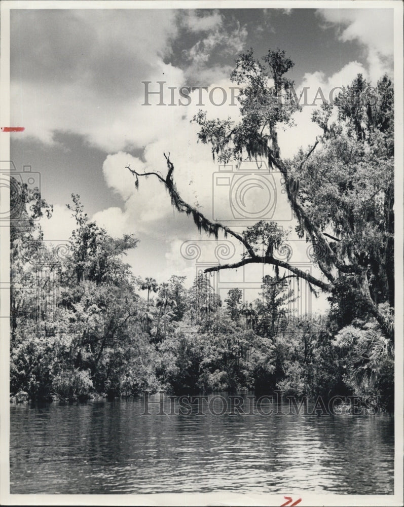 Press Photo Waccasassa river&#39;s Beauty remains unspoiled, The river is the - Historic Images