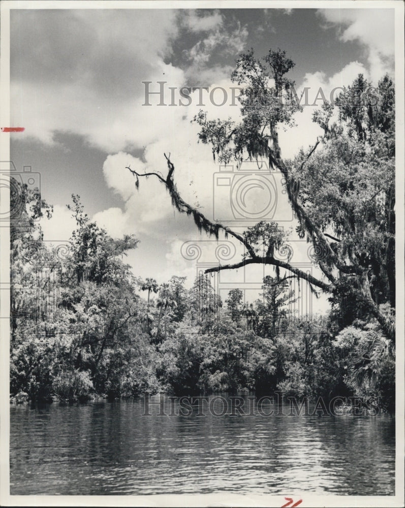 Press Photo Waccasassa river's Beauty remains unspoiled, The river is the - Historic Images