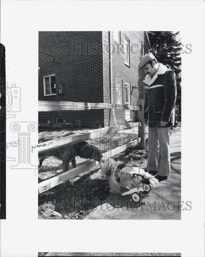 1983 Press Photo Steve Reed and dog Misty Lahas Apso paralyzed custom wheelchair - Historic Images