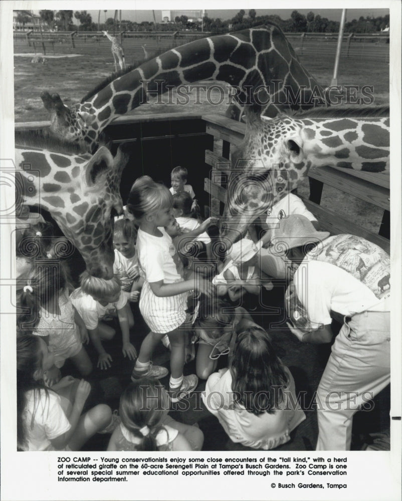 1990 Press Photo Busch Gardens Zoo Camp Children Feeding Giraffes - Historic Images