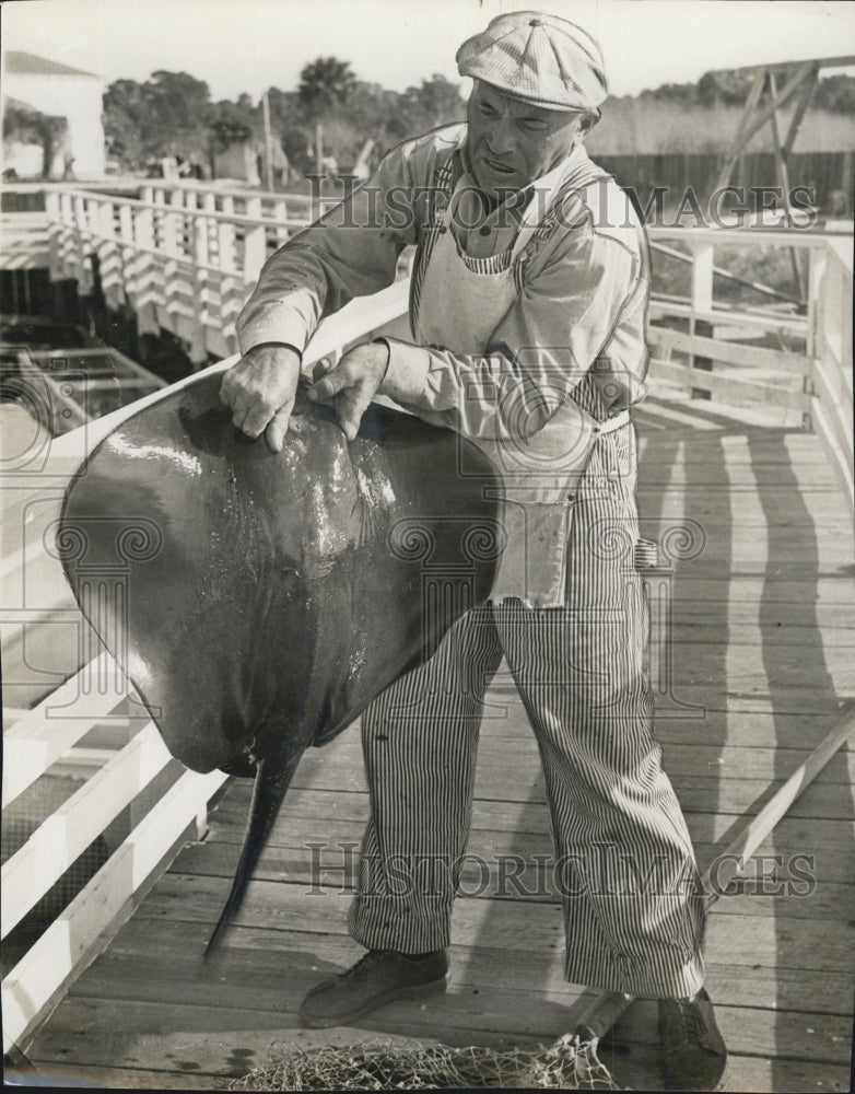 1942 Press Photo Whip Ray - Historic Images