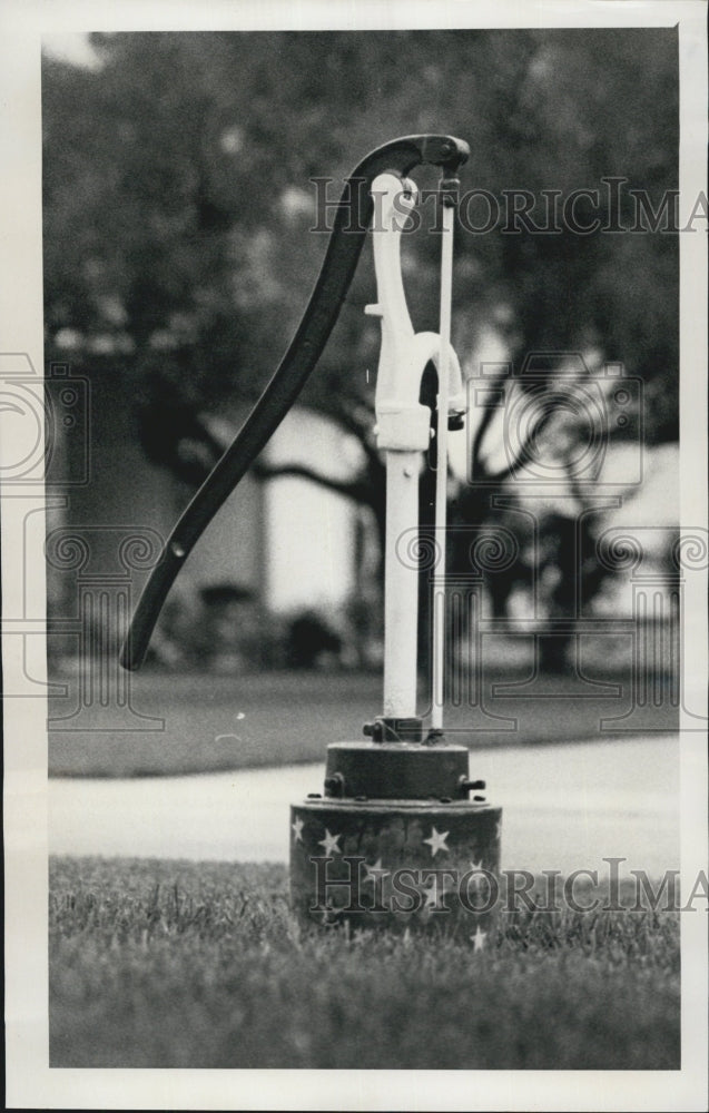 1976 Press Photo A Water Pump - RSG74351 - Historic Images