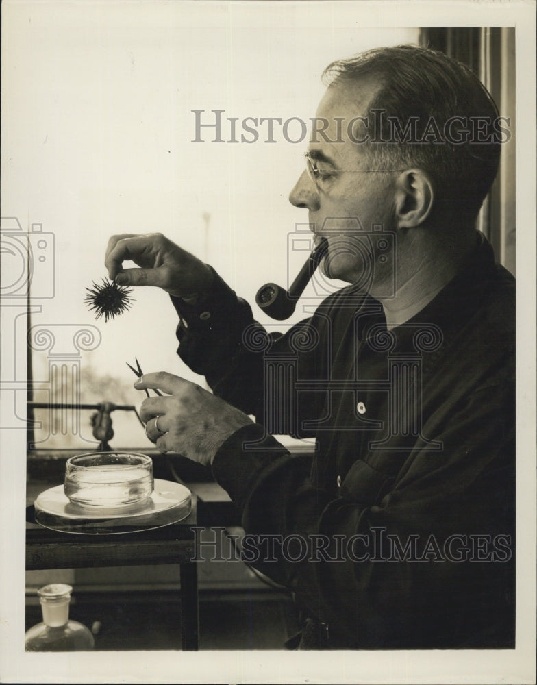 1954 Dr. Arthur K. Parpart Princeton University Marine Biological - Historic Images