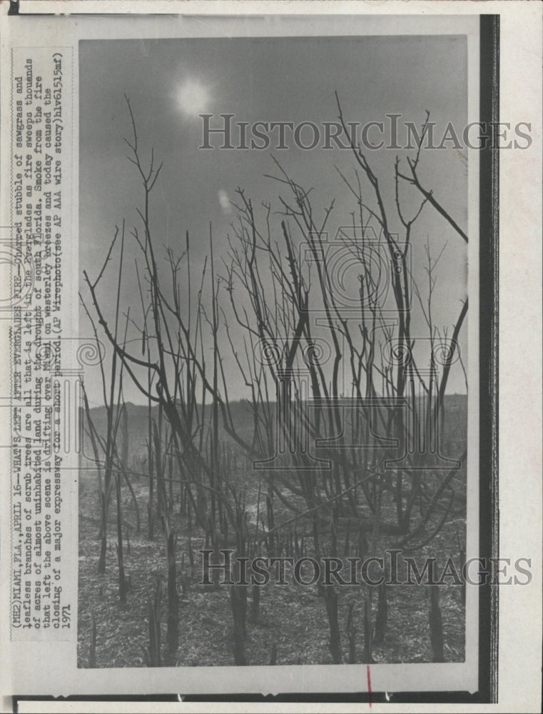 1971 Press Photo Everglades Fire - Historic Images