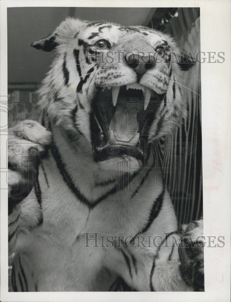 1971 Cook's Safari Restaurant - Historic Images