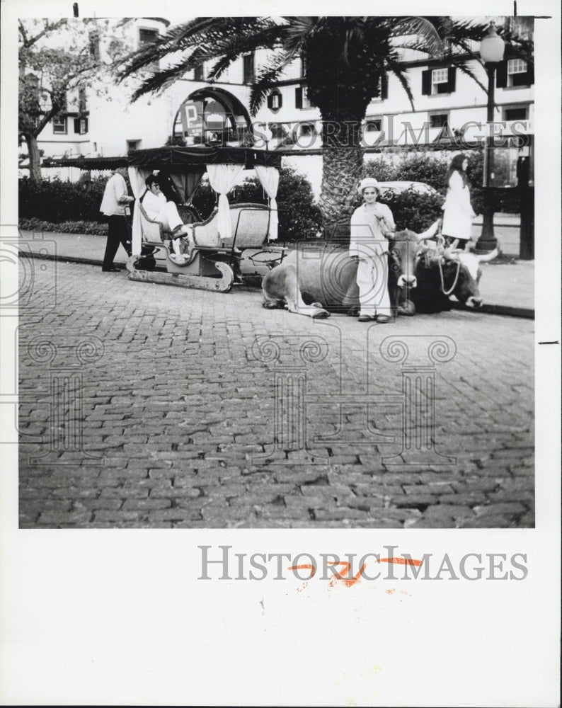 1983 Press Photo Madeira Island - Historic Images