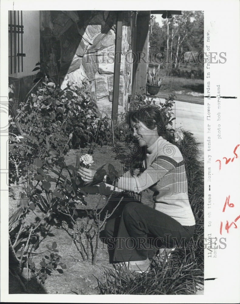 1981 Press Photo Norma Ray, wife of Engineer Arthur Ray, tends her flower garden - Historic Images