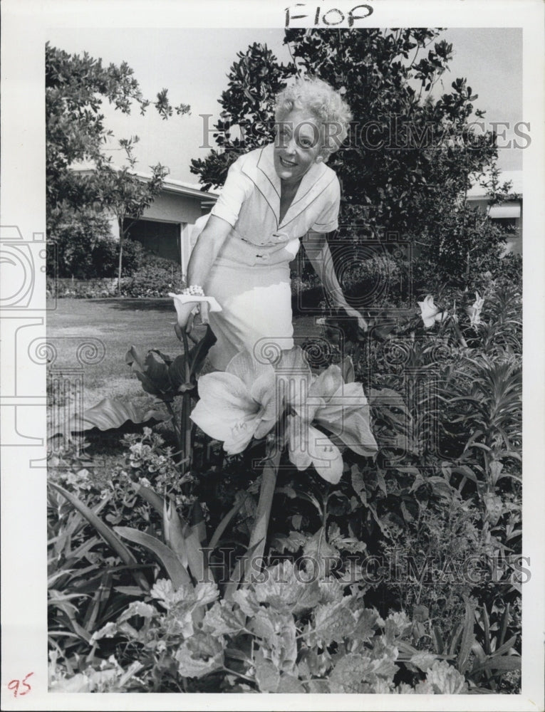 1964 Garnette Stollings  inspect her flowers in her yard. - Historic Images