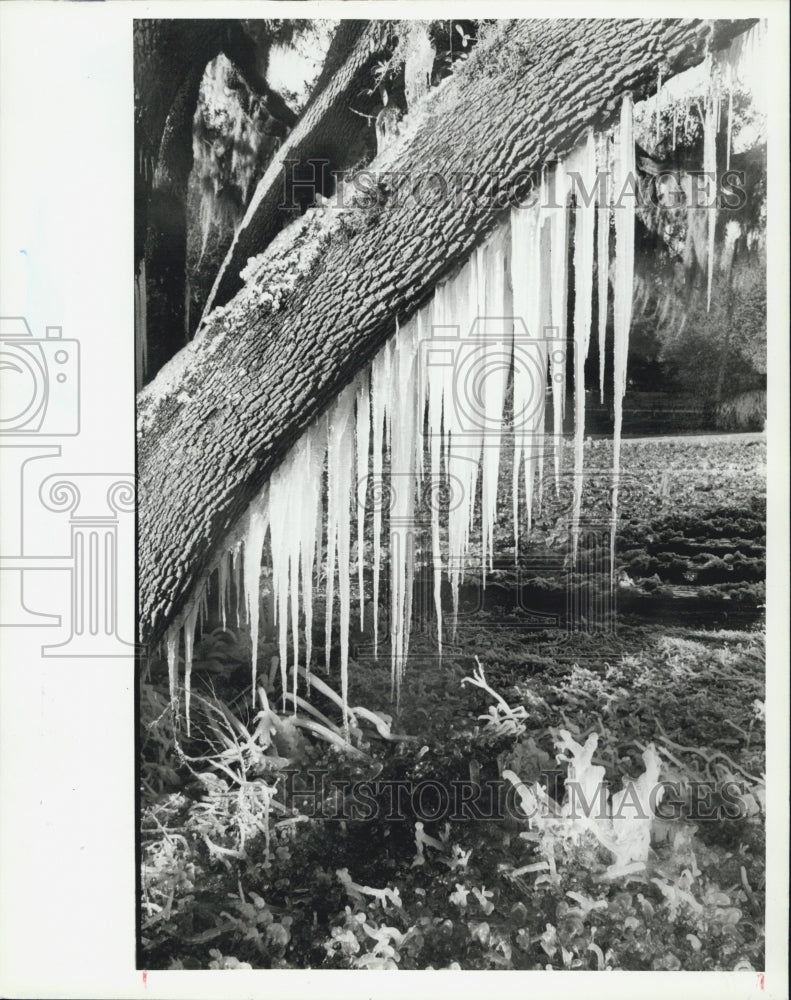 1986 Press Photo A county on ice. - Historic Images