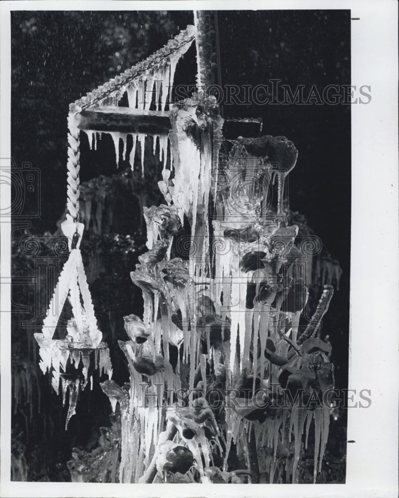 1981 Press Photo Ice covers a pole and hanging basket. - Historic Images