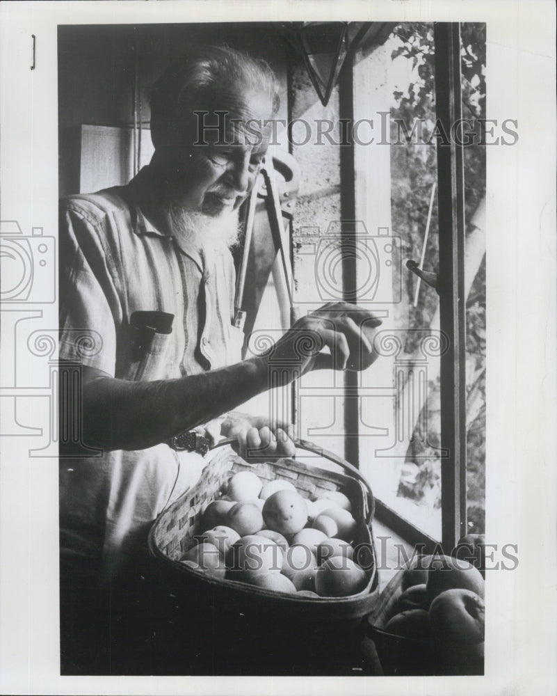 1969 Rex Stout busy gardening. - Historic Images