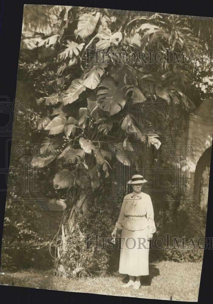 1981 Press Photo Flora Wylie Pothos Adorned Palm St. Petersburg Garden Club - Historic Images