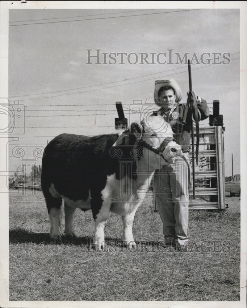 1961 George Agnew and his Hereford steer - Historic Images