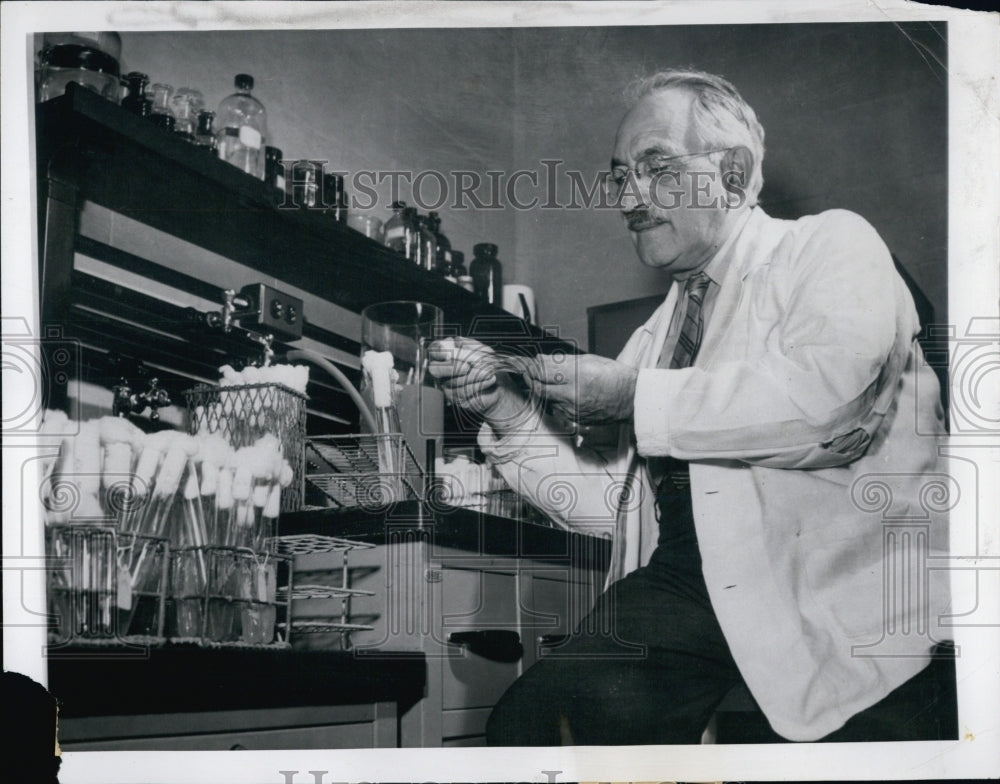 1952 Press Photo Dr. Selman A. Waksman. - RSG81259 - Historic Images