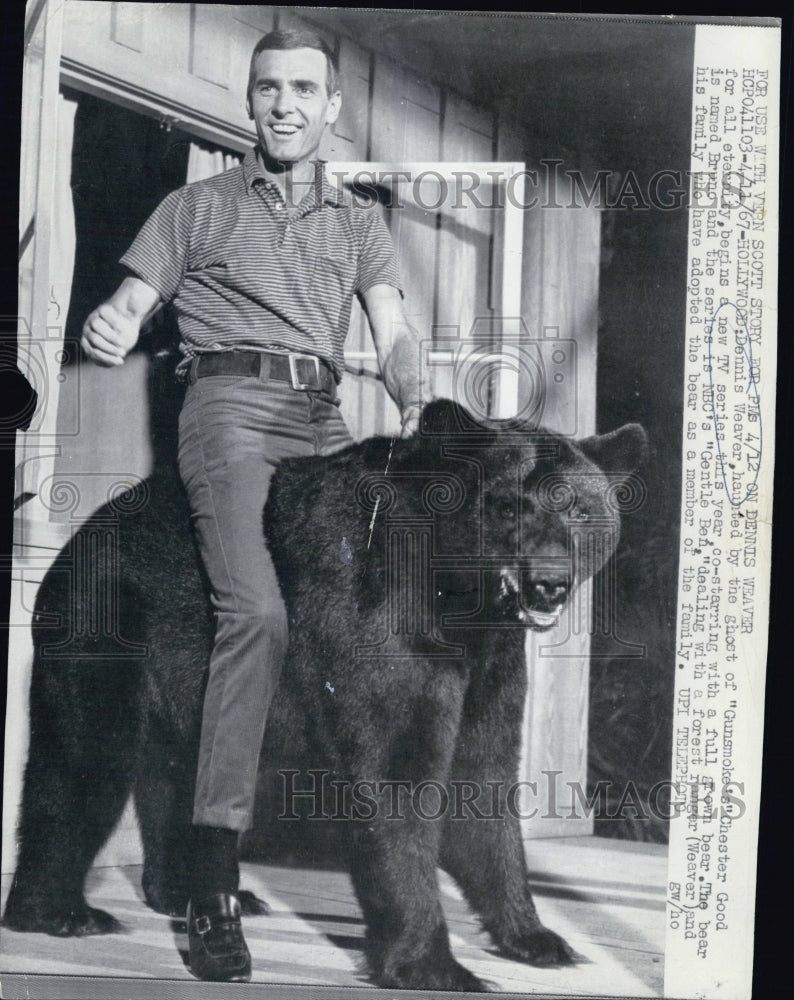 1967 Press Photo Actor Dennis Weaver Riding a Black Bear on "Gentle Ben" NBC TV - Historic Images