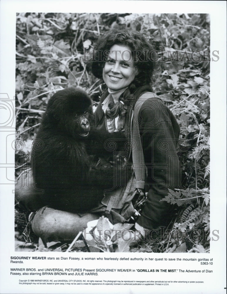 1988 Press Photo Sigourney Weaver stars in "Gorillas in the Mist" - Historic Images